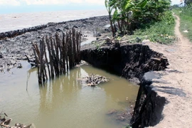Sạt lở khu vực cống Hương Mai trên đê biển Tây thuộc địa bàn xã Khánh Tiến, huyện U Minh, Cà Mau. (Ảnh: Lê Huy Hải/TTXVN)