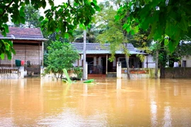 Nhiều nhà dân trên địa bàn huyện Hương Khê ngập sâu trong nước. (Ảnh: TTXVN)