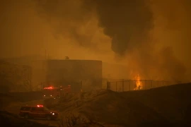 Nhân viên cứu hỏa dập lửa trong đám cháy rừng ở Santa Clarita, California, Mỹ ngày 23/7. (Nguồn: AFP/TTXVN)