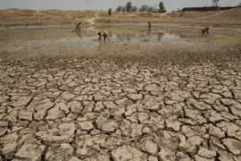 Một cánh đồng khô kiệt do nắng nóng ở Chandampet Mandal, Nalgonda thuộc bang Telangana, miền nam Ấn Độ. (Nguồn: THX/TTXVN)