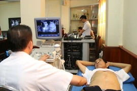 (Ảnh: Phạm Kiên/Vietnam+))