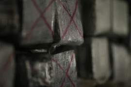 Cocaine bị thu giữ. Ảnh minh họa. (Nguồn: AFP/TTXVN)