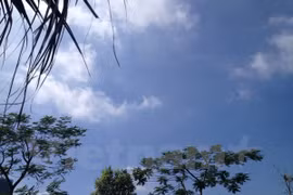 Ảnh minh họa. (Nguồn: Vietnam+)