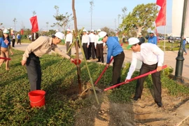 Ảnh minh họa. (Nguồn: TTXVN)