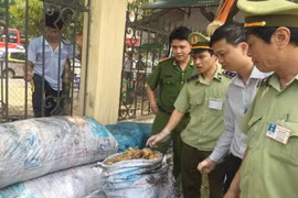 Lực lượng chức năng Thanh Hóa bắt giữ lô hàng mỡ động vật đã qua sơ chế không có giấy tờ hợp pháp. (Ảnh: Trịnh Duy Hưng/TTXVN)