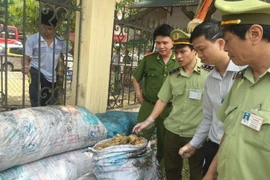 Lực lượng chức năng Thanh Hóa bắt giữ lô hàng mỡ động vật đã qua sơ chế không có giấy tờ hợp pháp. (Ảnh: Trịnh Duy Hưng/TTXVN)