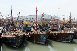 Tàu cá Trung Quốc neo tại cảng Manseok, Incheon sau khi bị Hàn Quốc bắt giữ vì hoạt động trái phép. (Nguồn: Yonhap/TTXVN)