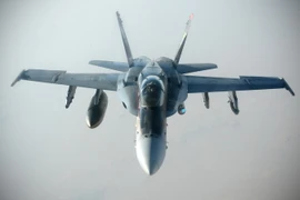 Máy bay chiến đấu F/A-18E Super Hornet. (Nguồn: AFP/TTXVN)