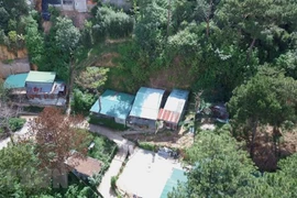 Nhìn từ trên cao xuống, khu nhà trái phép trông như ''dãy phố''màu xanh nằm xem những cây thông. (Ảnh: TTXVN)