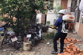Phun hóa chất diệt muỗi tại xã Đông Thạnh, huyện Hóc Môn. (Ảnh: Đinh Hằng/TTXVN)