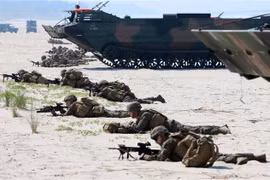 Binh sỹ NATO tập trận hải quân thường niên tại biển Baltic. (Nguồn: AFP/TTXVN)
