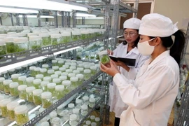 Việt Nam-Nhật Bản tăng cường hợp tác về khoa học công nghệ