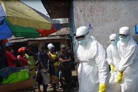 WHO kêu gọi quốc tế tiếp tục hỗ trợ nỗ lực xóa dịch Ebola