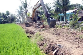 Phấn đấu đến hết 2015 có 20% số xã đạt chuẩn nông thôn mới