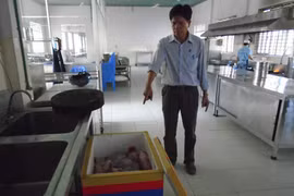 Bình Dương: Làm rõ vụ cấp thực phẩm "bẩn" cho bếp ăn trường học