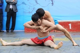 Gần 100 đô vật dự Giải vô địch vật dân tộc tỉnh Hải Dương mở rộng