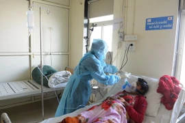 Số người tử vong do cúm lợn đang tăng mạnh tại Ấn Độ