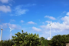 Thúc đẩy phát triển năng lượng Xanh, nguồn điện sạch. (Ảnh: Hùng Võ/Vietnam+)