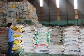 UOB duy trì dự báo tăng trưởng của Việt Nam ở mức 6,0% cho năm 2024. (Ảnh: PV/Vietnam+)