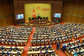 Quốc hội thảo luận về giảm thuế giá trị gia tăng và họp công tác nhân sự. (Ảnh: TTXVN)