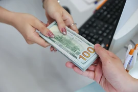 Chuyên gia ADB cho rằng biến động tỷ giá vẫn nằm trong biên độ kiểm soát. (Ảnh: Vietnam+)