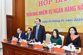 Phó Thống đốc Ngân hàng Nhà nước Đào Minh Tú phát biểu tại họp báo. (Ảnh: PV/Vietnam+)