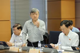 Đại biểu Quốc hội Trương Trọng Nghĩa (Đoàn đại biểu Quốc hội Thành phố Hồ Chí Minh) phát biểu tại tổ.