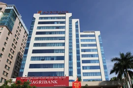 Ngân hàng Agribank được tăng vốn điều lệ lên gần 41.000 tỷ đồng. (Ảnh: PV/Vietnam+)