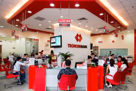 Techcombank là ngân hàng tư nhân đầu tiên công bố Khung Trái phiếu Xanh. (Ảnh: Vietnam+)