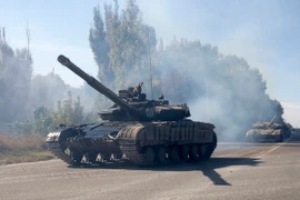 Ảnh minh họa. (Nguồn: THX/TTXVN)