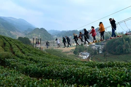 Một vườn chè ở công viên Xuann'en, tỉnh Hồ Bắc (Trung Quốc) đã làm một cây cầu từ 3 sợi dây thừng để giúp du khách dễ dàng chiêm ngưỡng cảnh tượng bao la của đồi chè. 