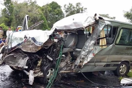 Ảnh minh họa. (Nguồn: TTXVN)