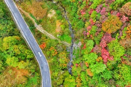 Nhiều khách tham quan sẽ phải ngỡ ngàng trước cảnh tượng mùa Thu trên núi Quinling ở Hán Trung, Thiểm Tây, Trung Quốc.