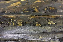 Rực rỡ ánh đèn đón Giáng sinh trên khắp cả nước