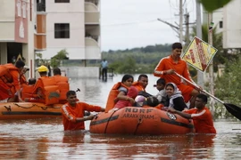Ảnh minh họa. (Nguồn: THX/TTXVN)