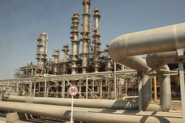 Ảnh minh họa. (Nguồn: diasporaconnex.com)