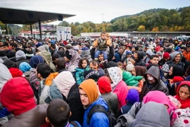 Người di cư chờ xe buýt sau khi vượt qua biên giới Áo-Slovenia ở khu vực Spielfeld ngày 22/10. (Nguồn: AFP/TTXVN) 
