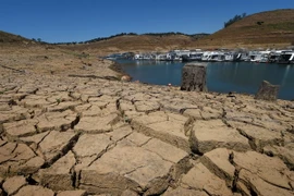 Hồ chứa nước New Melones ở California bị cạn khô do hạn hán kéo dài. (Nguồn: AFP/TTXVN) 