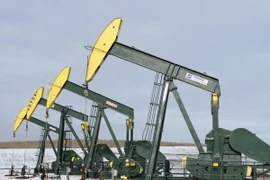 Ảnh minh họa. (Nguồn: ibtimes.co.uk)