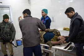 Ảnh minh họa. (Nguồn: THX/TTXVN)