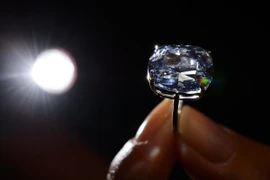 Viên kim cương 'Blue Moon' được nhà đấu giá Sotheby's giới thiệu tại Geneva, Thụy Sĩ ngày 4/11. (Nguồn: AFP/TTXVN) 