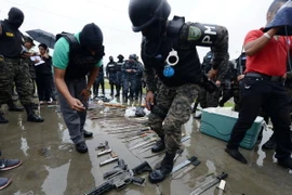 Ảnh minh họa. (Nguồn: AFP/TTXVN)