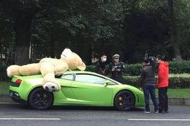 Bị cảnh sát phạt vì chở gấu trên xe Lamborghini.