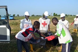 Ảnh minh họa. (Nguồn: AFP/TTXVN)