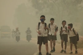 Khói mù do cháy rừng bao phủ tỉnh Jambi ngày 29/9. (Nguồn: Reuter/TTXVN) 