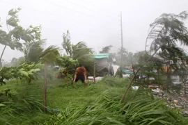 Bão số 2 có khả năng đi vào địa phận Quảng Ninh và Hải Phòng