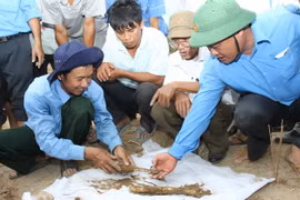 Đầu tư xây dựng 2 cơ sở giám định ADN xác định hài cốt liệt sỹ