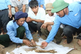 Đầu tư xây dựng 2 cơ sở giám định ADN xác định hài cốt liệt sỹ