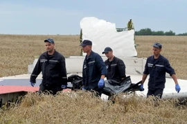 Ngoại trưởng các nước ra tuyên bố chung về vụ máy bay MH17