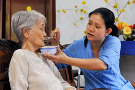 Giám sát thực hiện chính sách ưu đãi người có công tại TP.HCM
